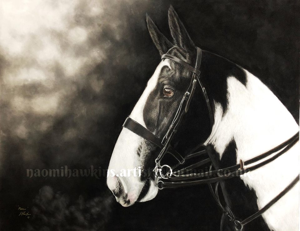 Coloured Horse Pastel Drawing